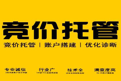 创新SEM竞价优化技术，提升广告效果案例分享